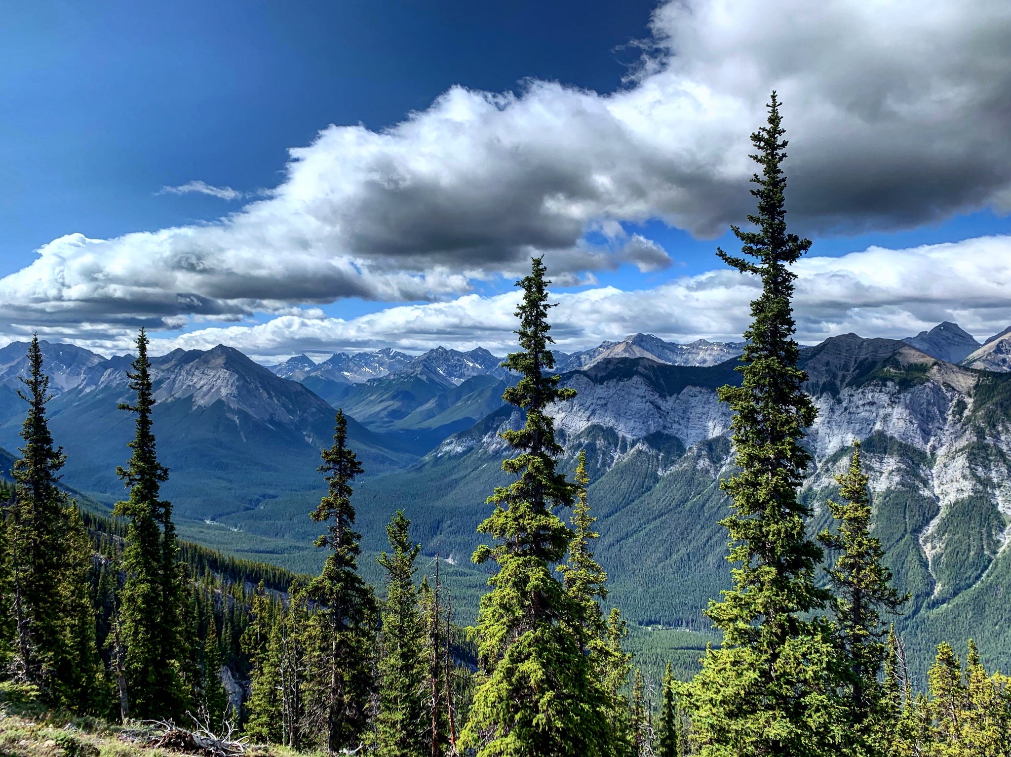 Mount Rundle Views Mount Rundle Views – Nicoline's Bookshop